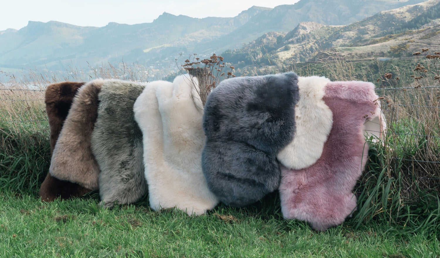 Wonderful Wool