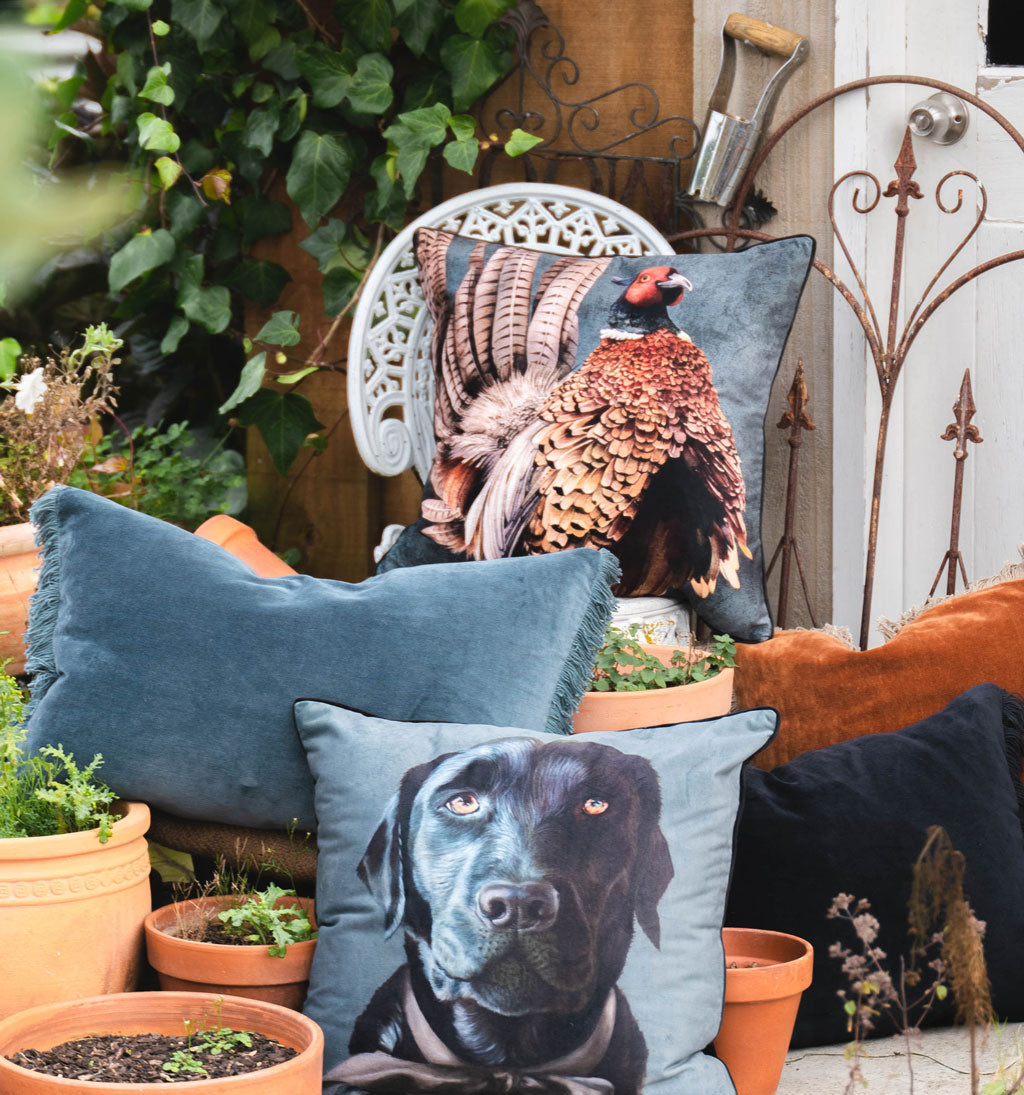 Phil The Pheasant Cushion Cover