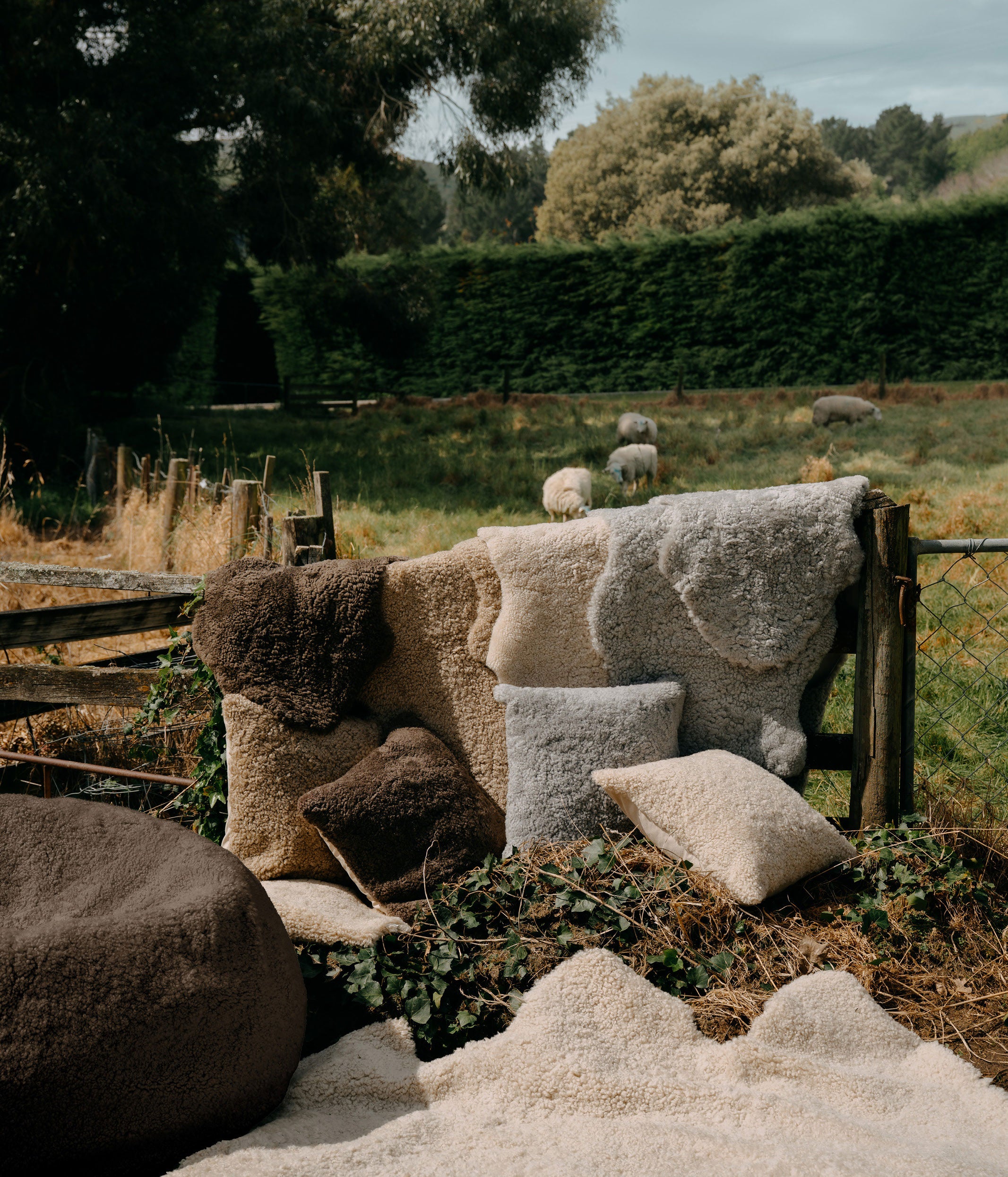 NZ Short Wool Sheepskin Rug Walnut
