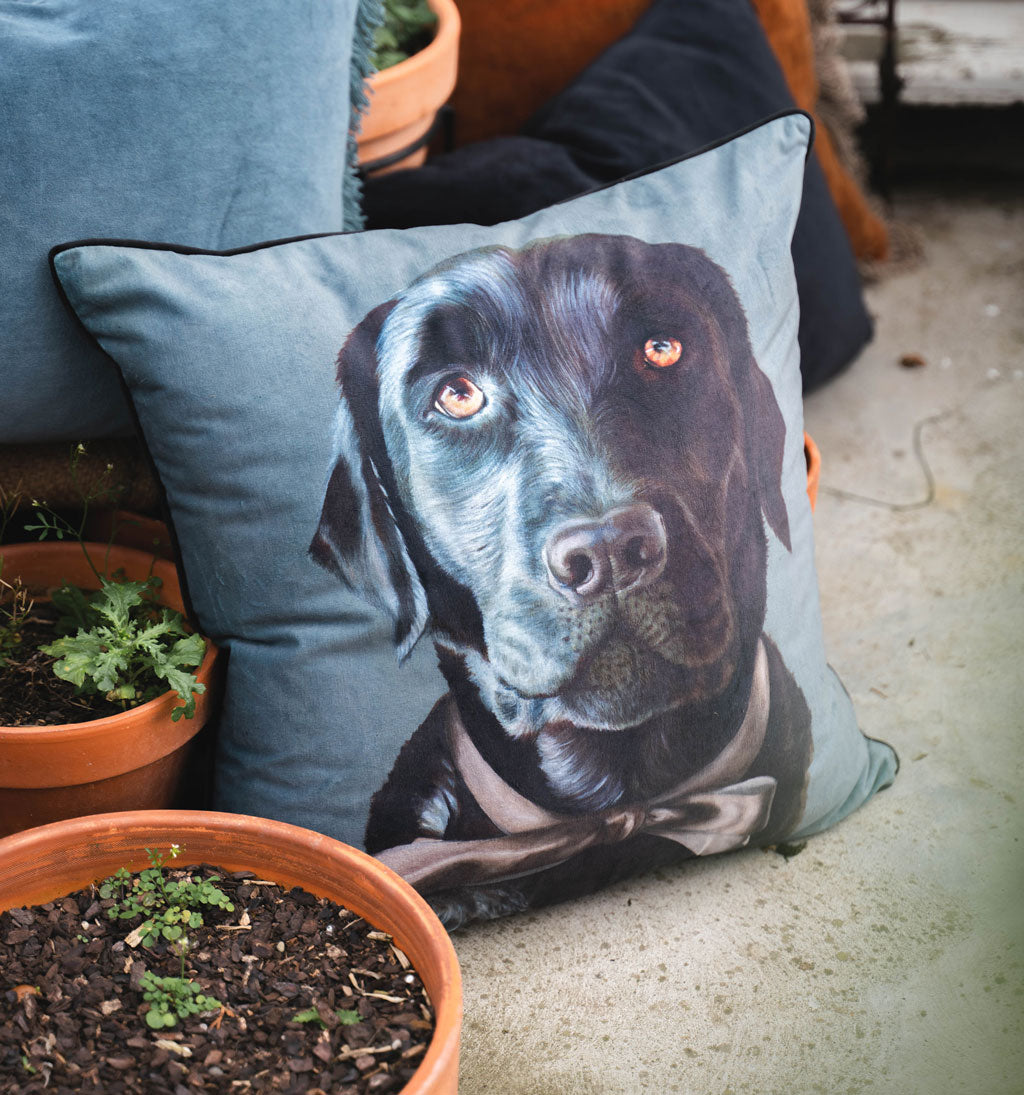 Baghie The Lab Cushion