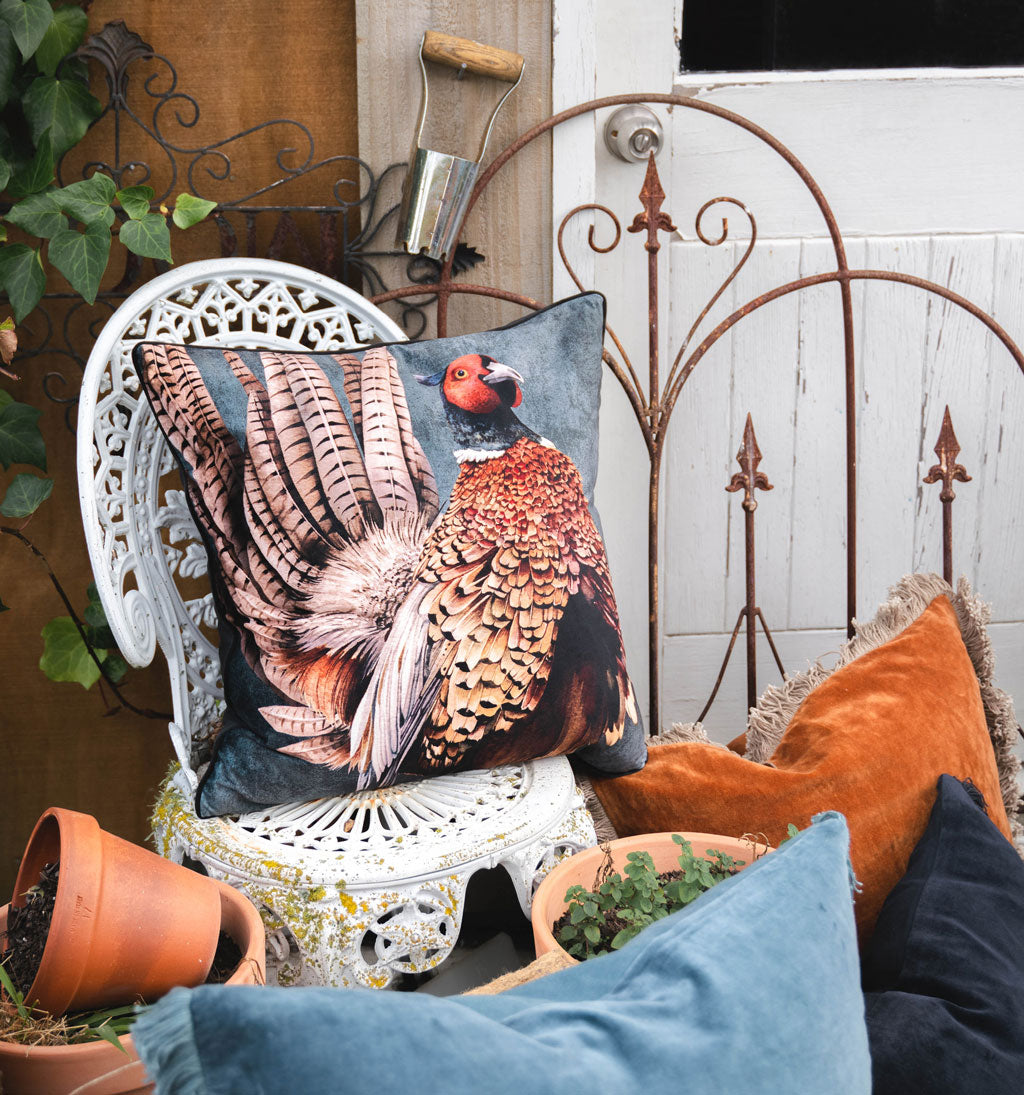 Phil The Pheasant Cushion