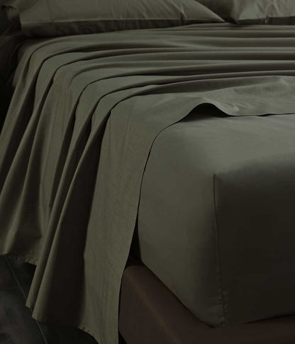 Pure Cotton 250TC Sheet Set Ivy