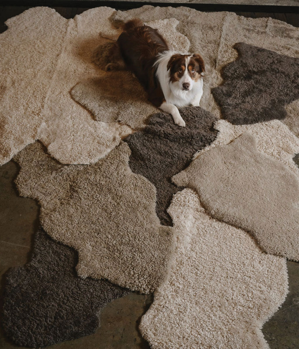 NZ Short Wool Sheepskin Rug Walnut